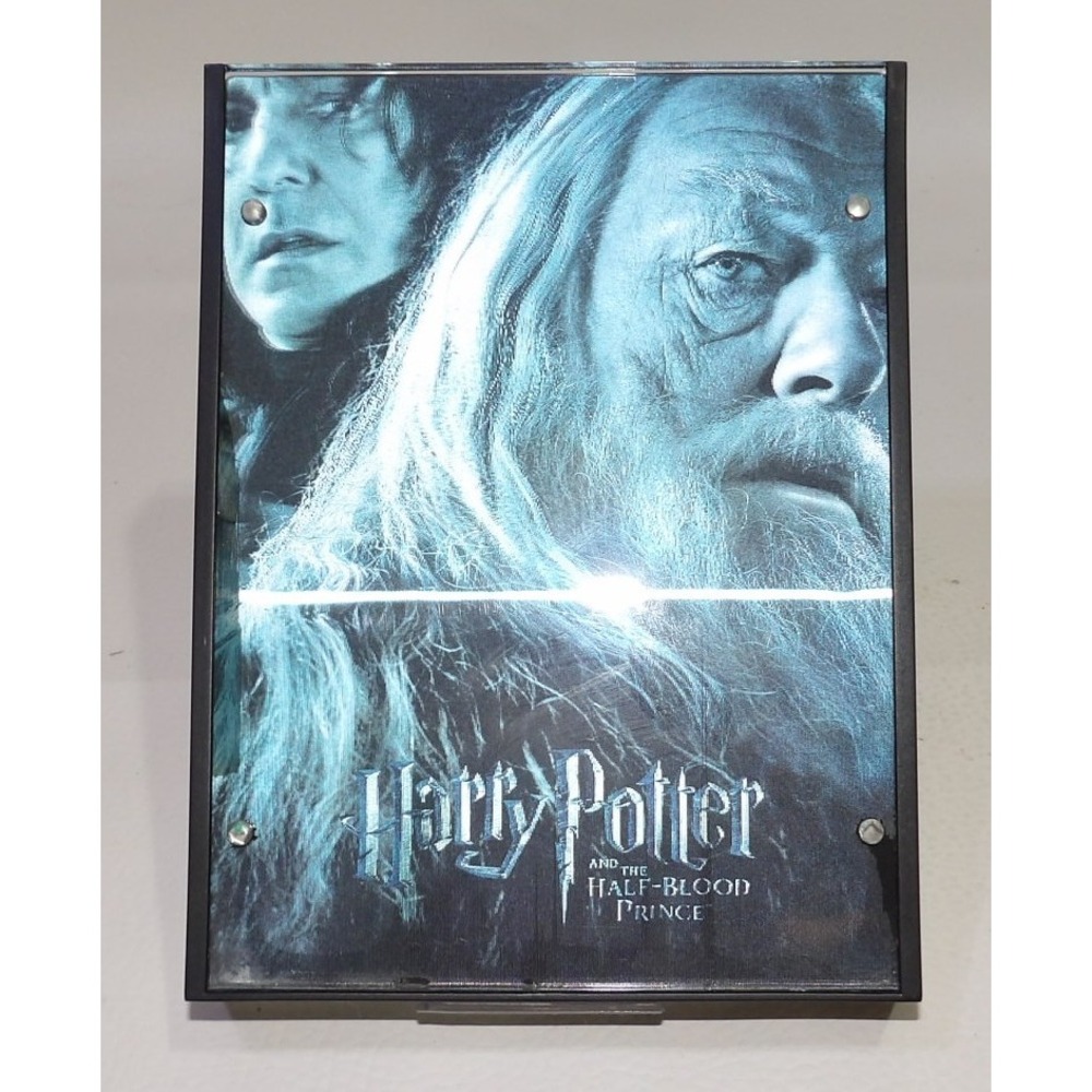 Harry Potter Half-Blood Prince Lenticular 3D Wall Art Harry Dumbledore